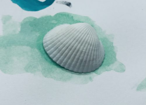 shell